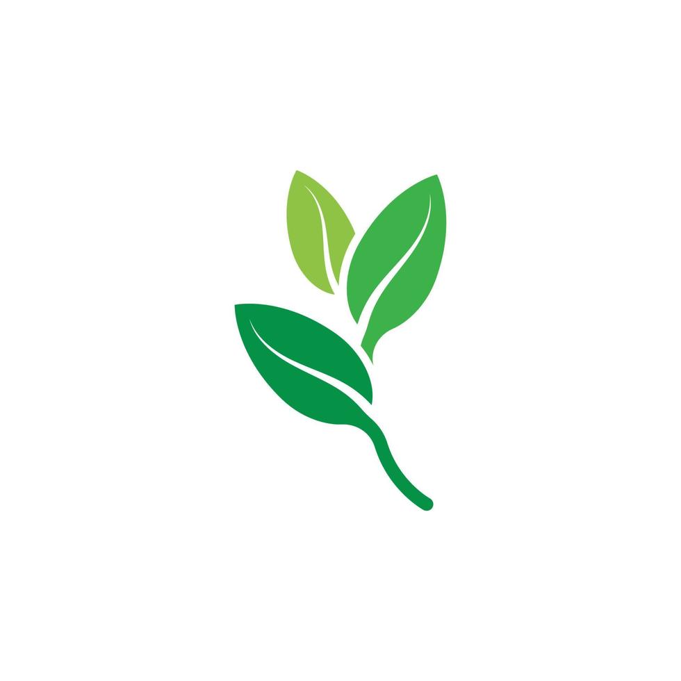 logotipos de la ecología de la hoja del árbol verde vector