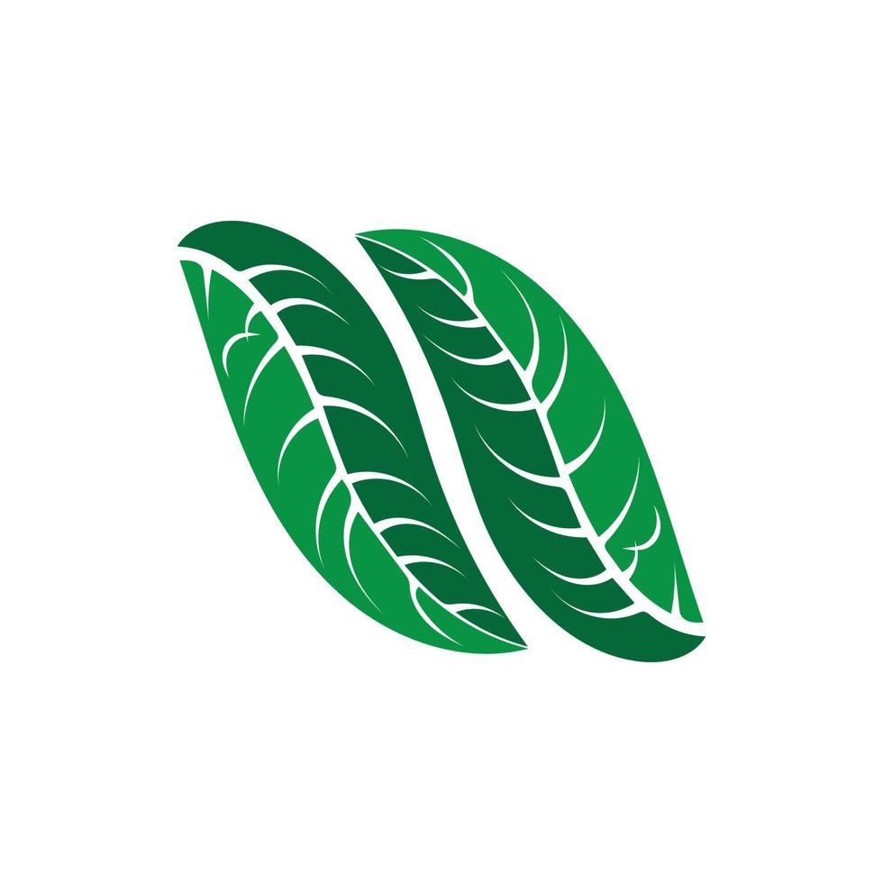 Logos of green tree leaf ecology vector