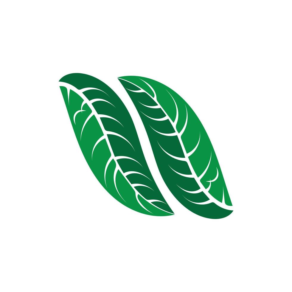 logotipos de la ecología de la hoja del árbol verde vector