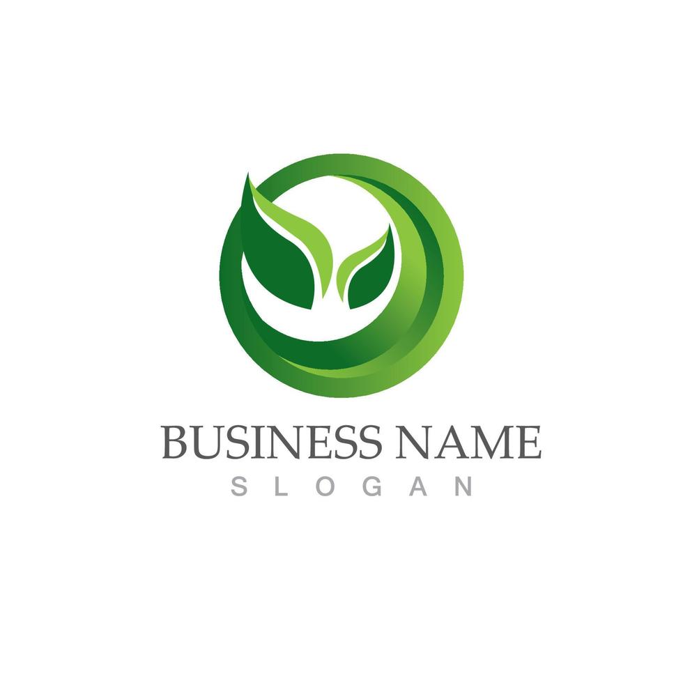 Logos of green tree leaf ecology vector