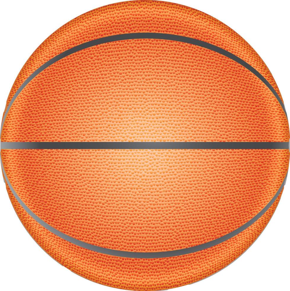 Realistic front view of a basketball vector