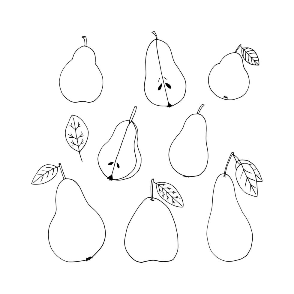 pear with leaf hand drawn in doodle style. fruit, food. icon, sticker. vector