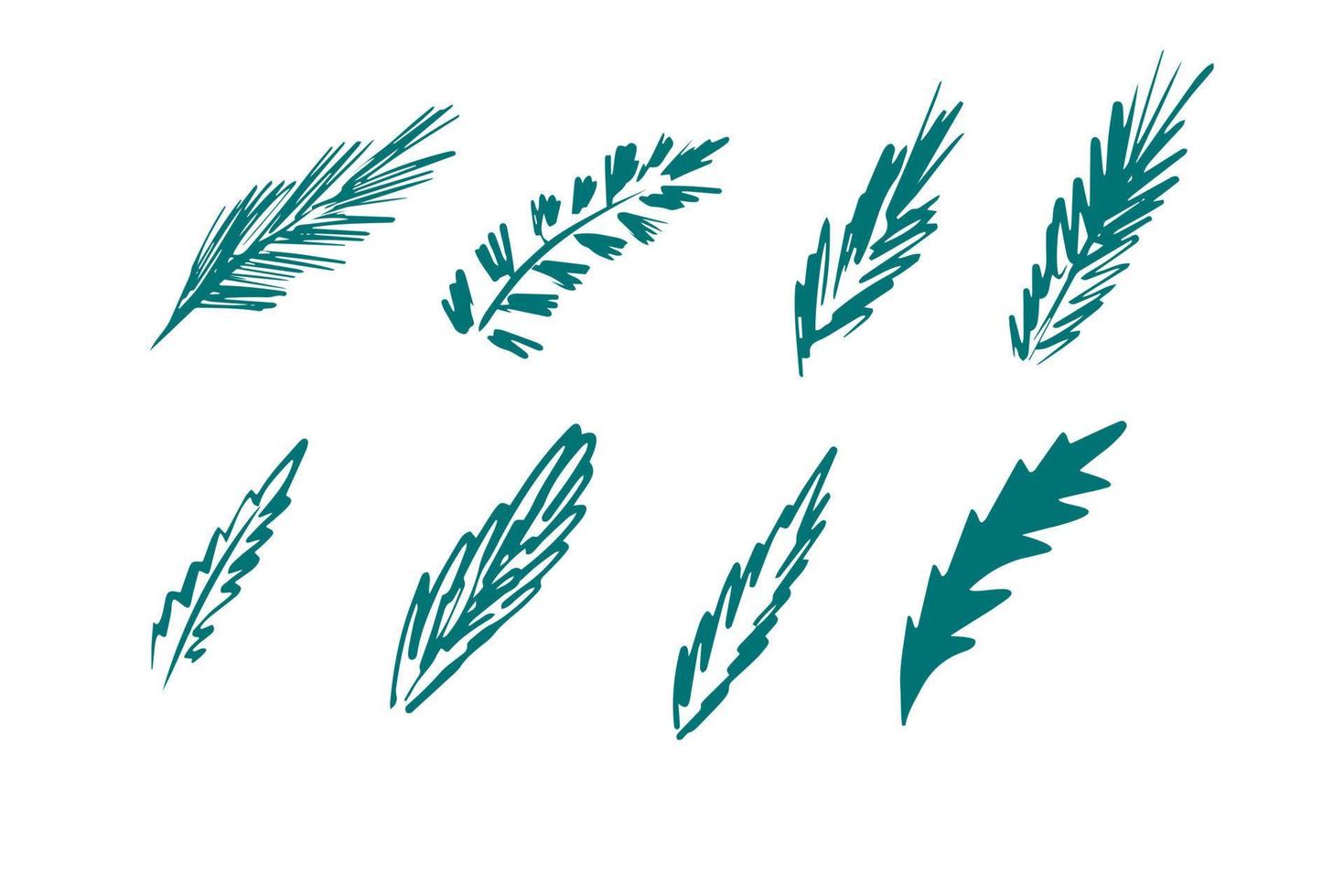 Set of beautiful spruce, fir and pine branches. Design element for Christmas and New Year cards. Hand drawn vector, illustration. vector