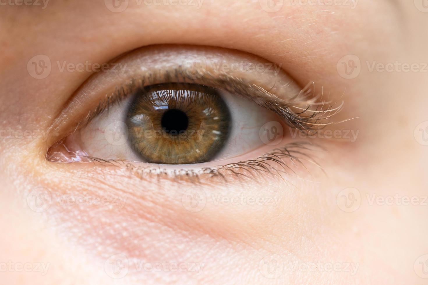 Closeup of female eye without makeup photo