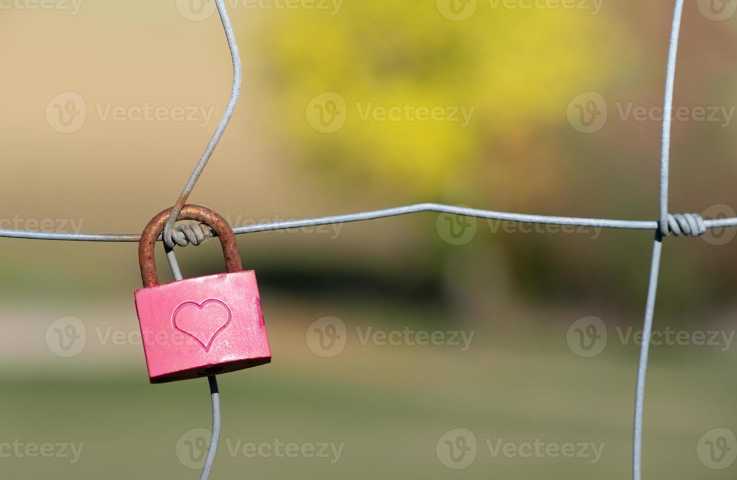 A small padlock hangs on a wire fence. The padlock is closed. The color is pink. A heart is engraved on the lock. The metal bracket is rusty. In the background washed out green landscape. photo