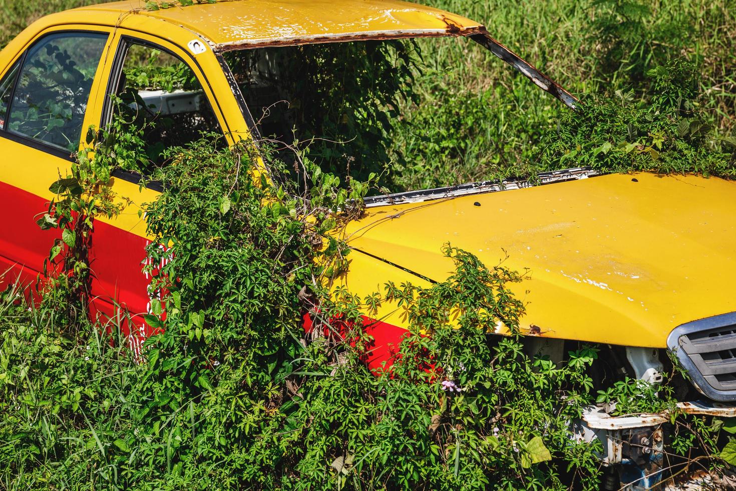 coche viejo dentro de los matorrales de hierba foto