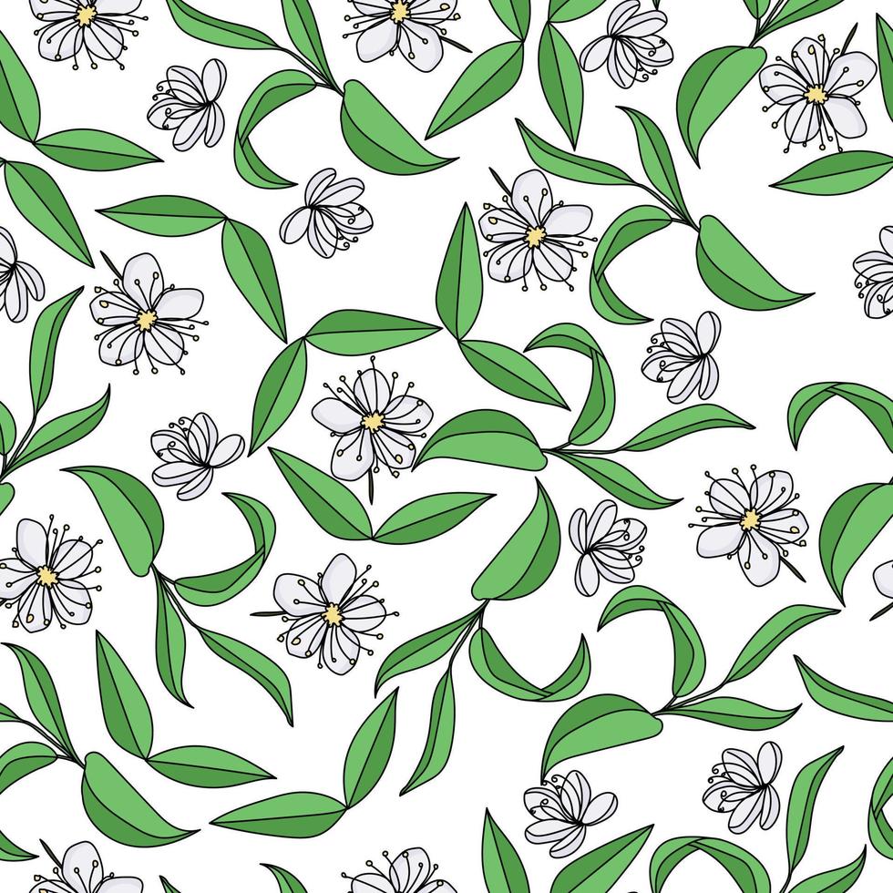 White flowers with green twigs seamless pattern, floral elements on a white background vector
