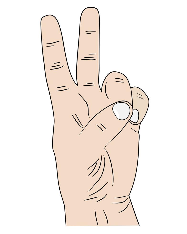 human hand showing two fingers on a white background vector