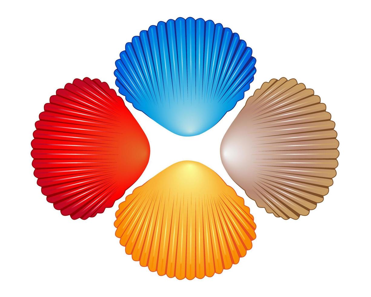 Four different colored sea shells on a white background vector