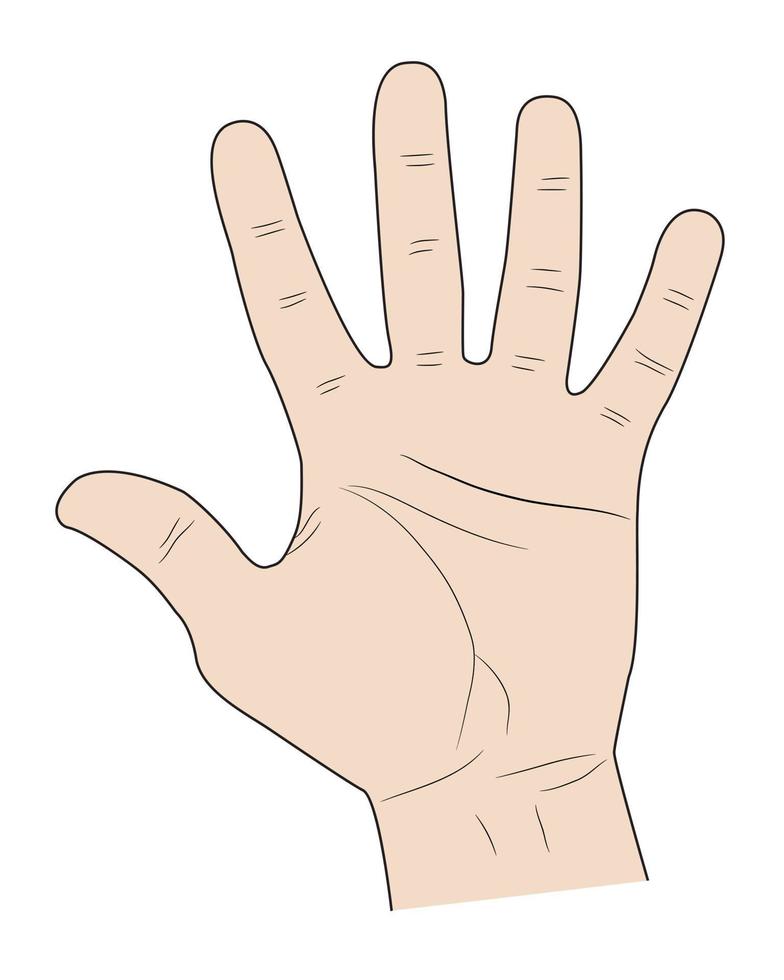 firmar cinco dedos una palma hacia arriba sobre fondo blanco vector