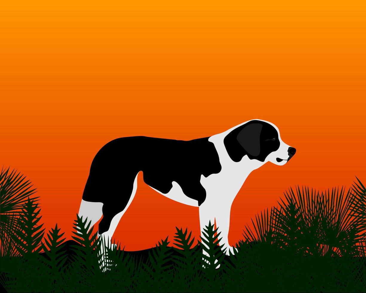 gazing into the distance a dog standing on the grass vector