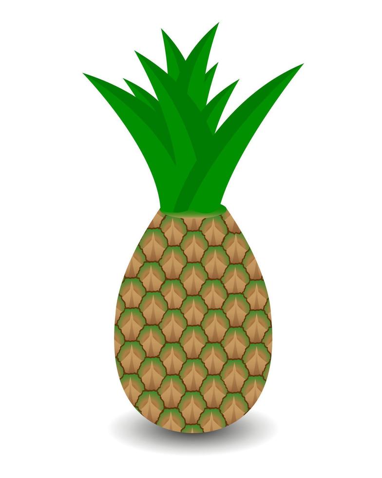 pineapple and green leaves with shadow bottom vector