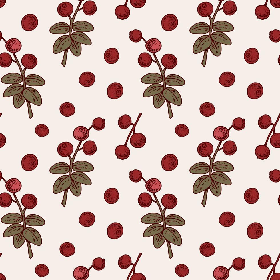 Seamless pattern with lingonberry. Vector illustration in sketch style. Festive background