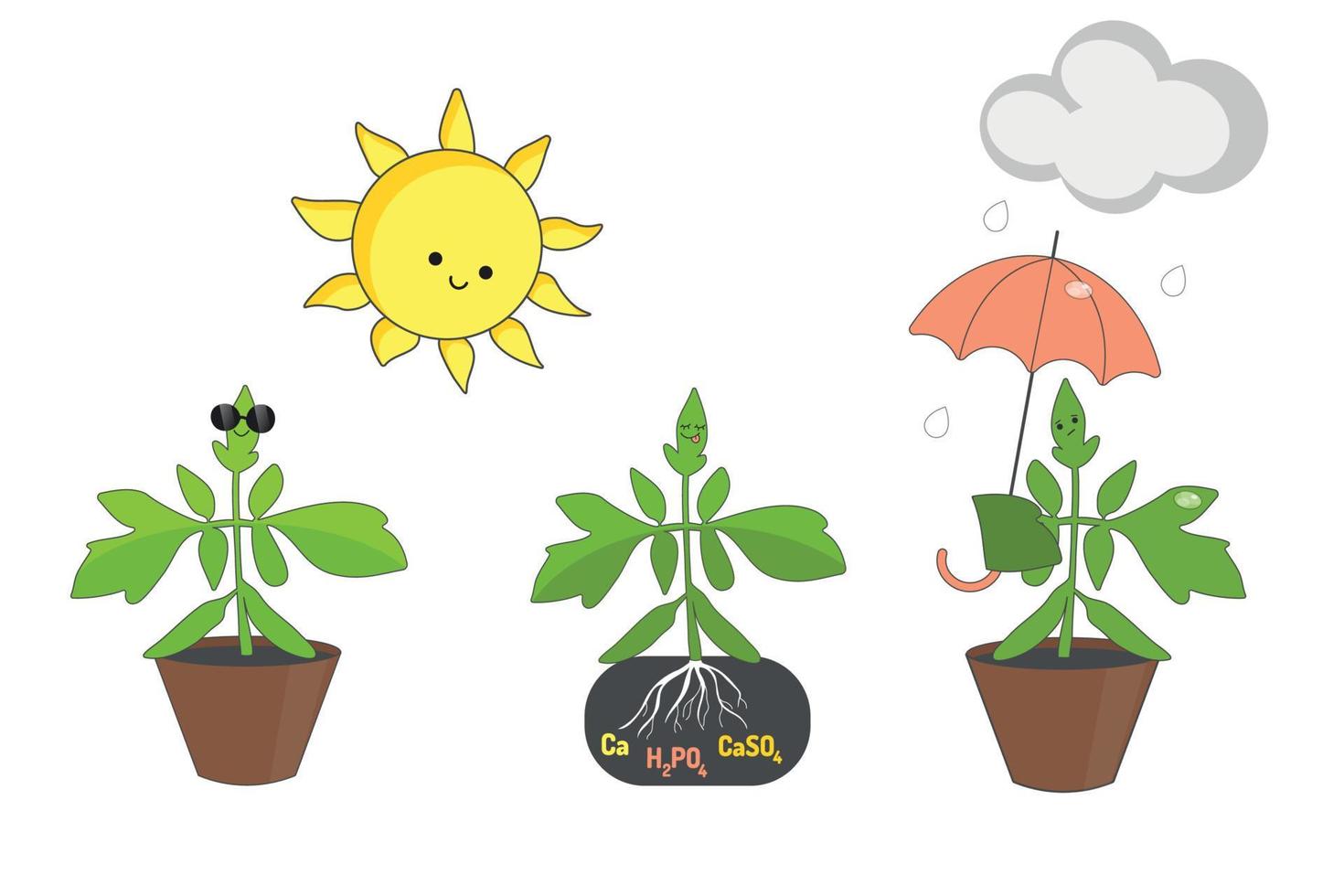 Funny tomato seedlings under the sun and a gray cloud. Vector illustration on a white background