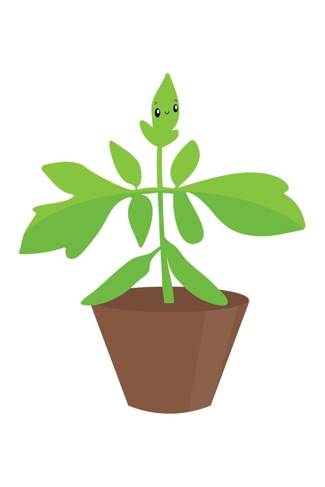 Funny tomato seedlings, gardening. Bush tomatoes in a pot. vector