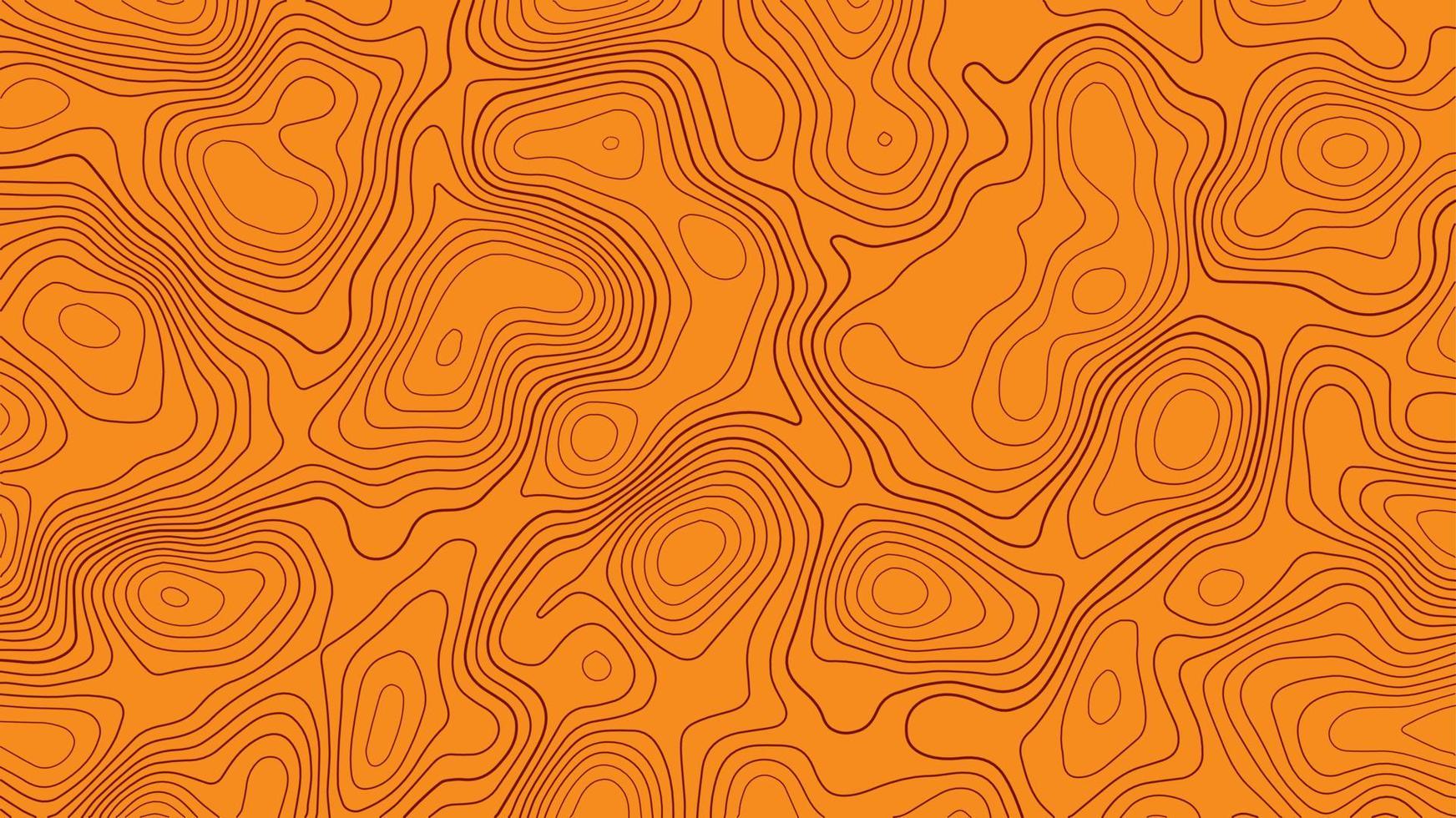 Abstract topographic contour line pattern solid background vector map.