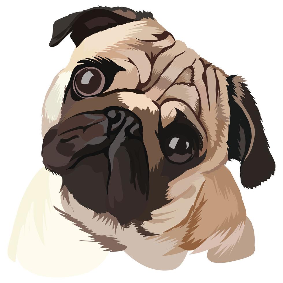 Cute dibujos animados de perro pug, ilustración vectorial 14401046 Vector  en Vecteezy