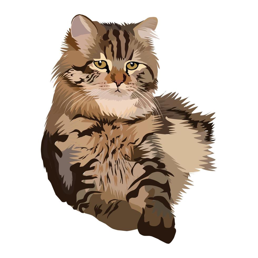 gato siberiano, gato de bengala ilustración vectorial adecuada para la decoración de paredes vector