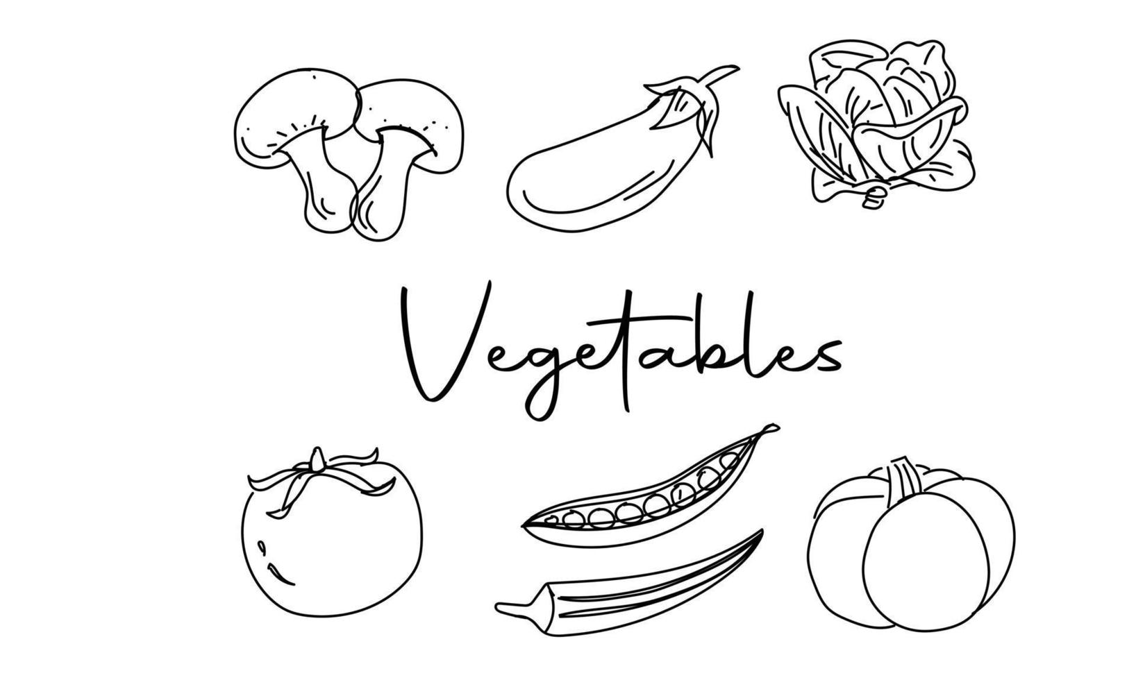 Vegetables doodle drawing collection. vegetable such as mushroom, brinjal, cabbage, tomato, peas, okra, pumpkin etc. Hand drawn vector doodle illustrations in black isolated over white background.