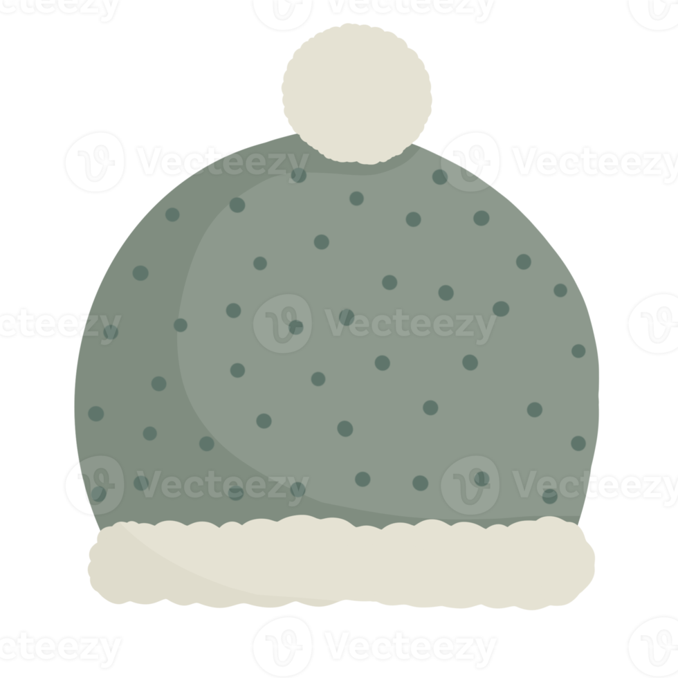 winter hoed illustratie png