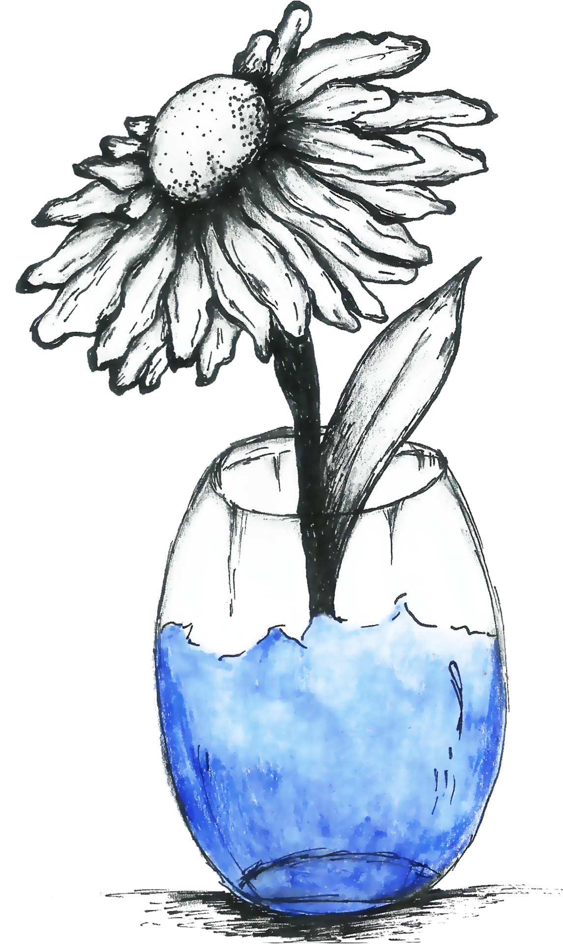 Flower Vase Clipart Vector, Rose In Flower Vase Line Art With Colorful  Shape, Rose Drawing, Flower Drawing, Vase Drawing PNG Image For Free  Download