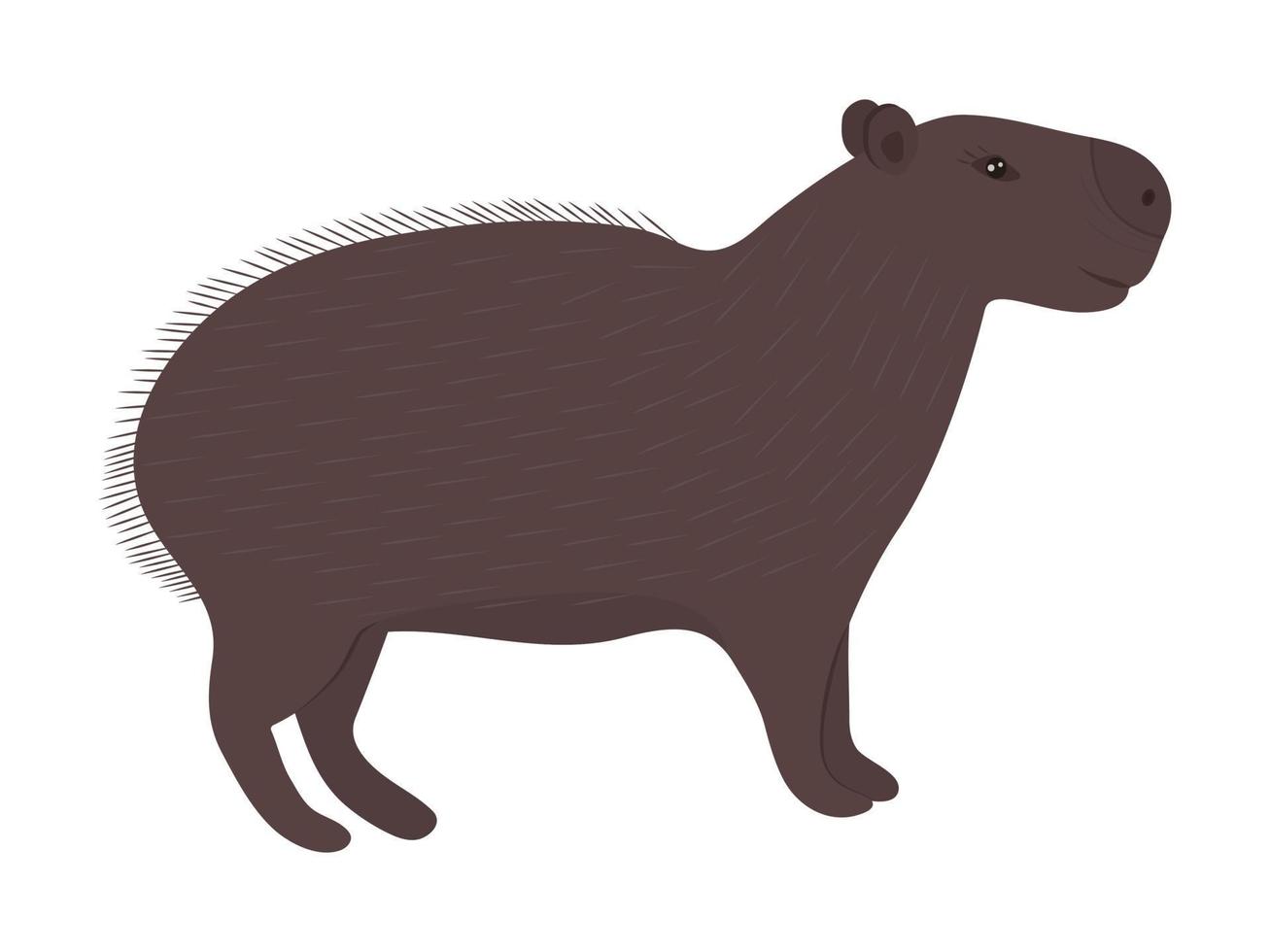Cute capybara, brown illustration vector