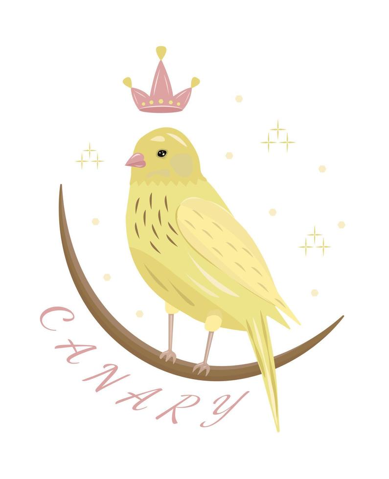 Canary, cute colorful illustration vector