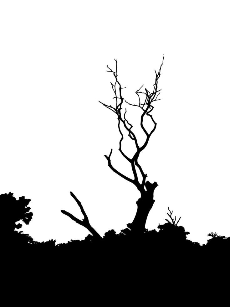 vector de silueta de árbol muerto. árbol sin hojas en el lado del bosque, paisaje natural. ilustraciones de árboles secos o desnudos.