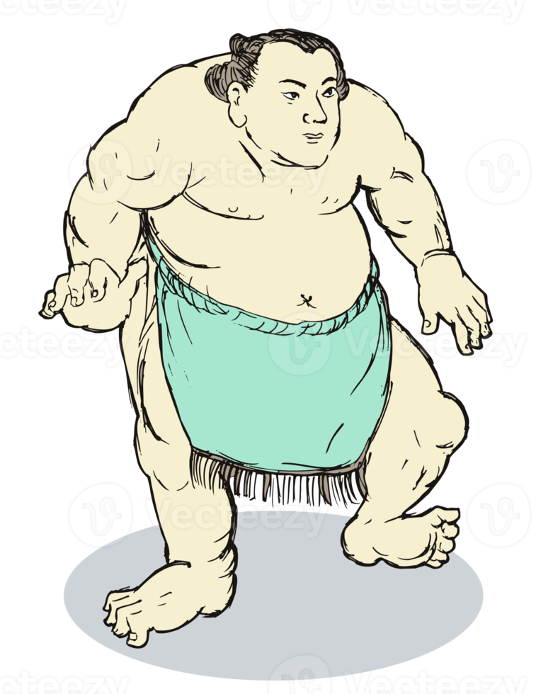 Japanese Sumo Wrestler png