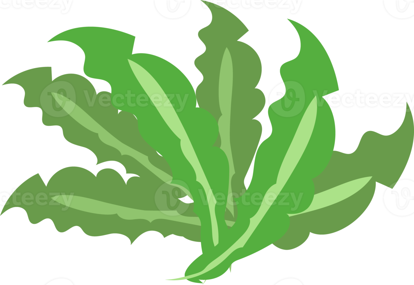 fresh food icon png