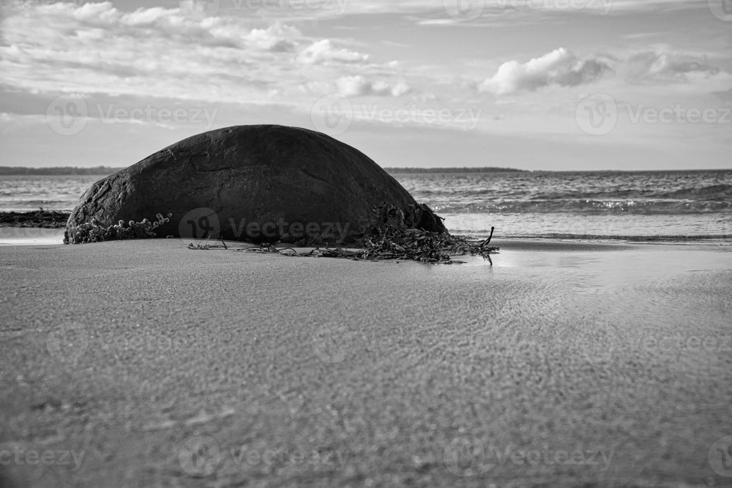 Big stone shot in black and white, on sandy beach in front of sea with clouds in sky photo