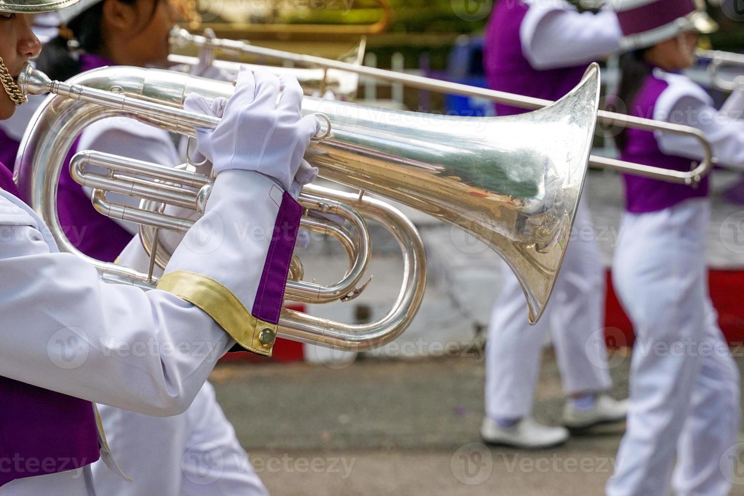 la tuba está hecha de latón y es el instrumento que suena más bajo entre los instrumentos de metal. por lo tanto, actúa como un bajo para hacer que la línea de bajo tenga un sonido más ajustado. foto