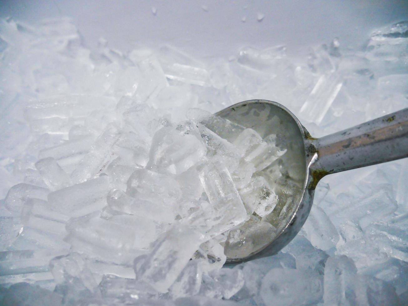 ice and ice scoop in the bucket photo