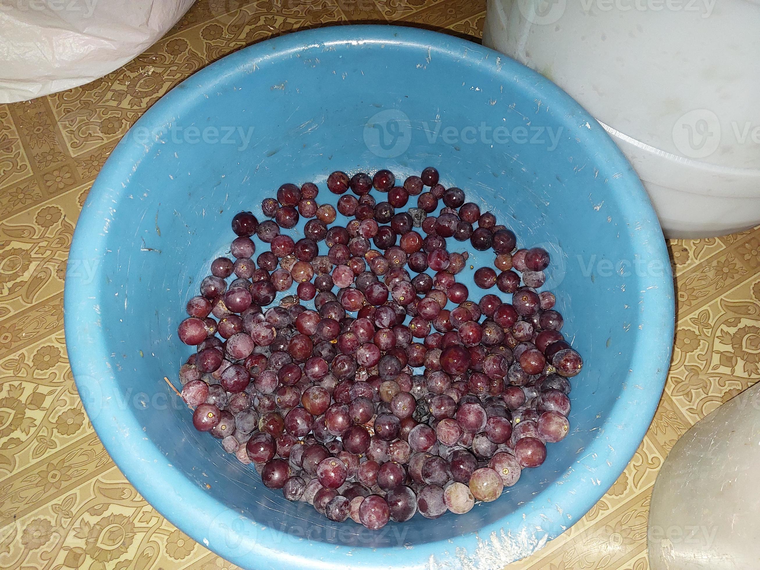 Production of grape pulp for making homemade wine must 14403179 Stock