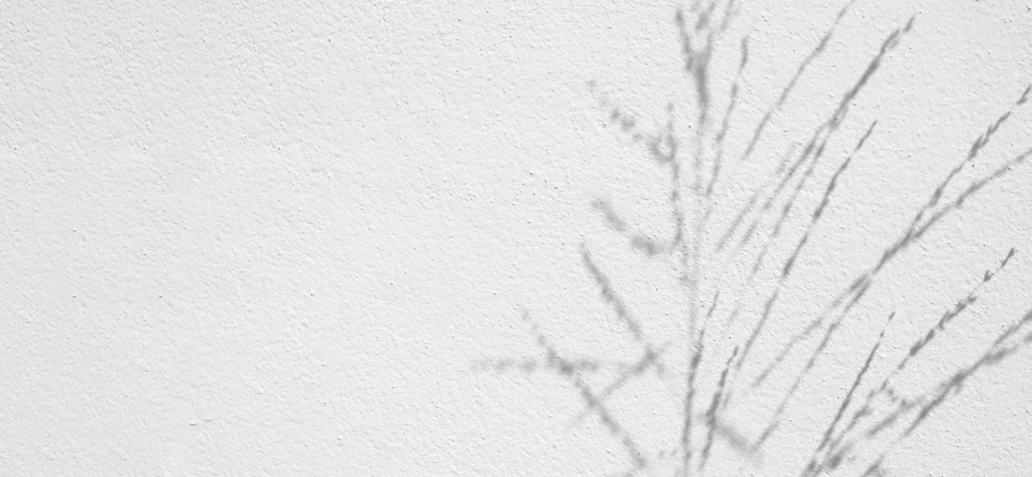 textura transparente de pared de cemento blanco una superficie áspera y sombra de hoja, con espacio para texto, para un fondo foto