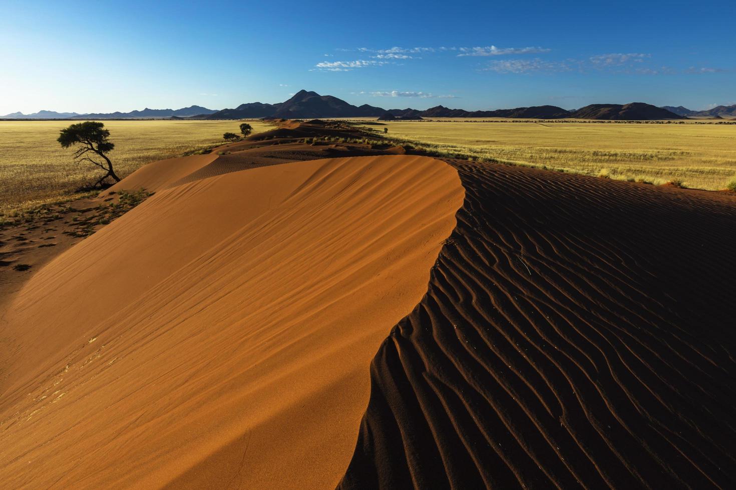 patrones barridos por el viento en una duna de arena roja foto