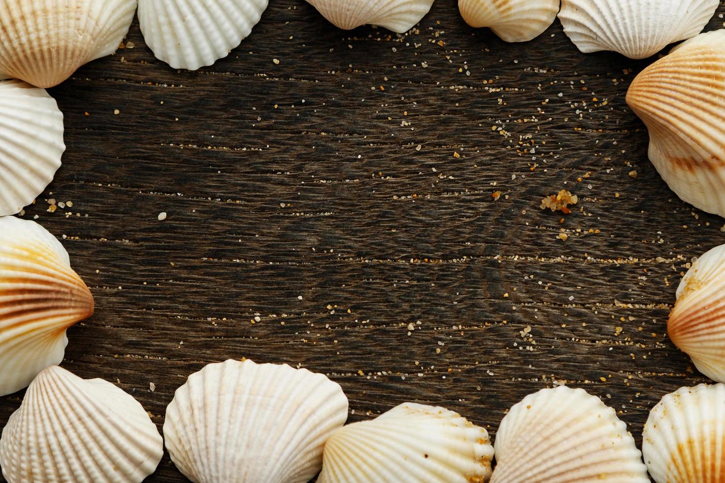Seashells on wooden surface photo