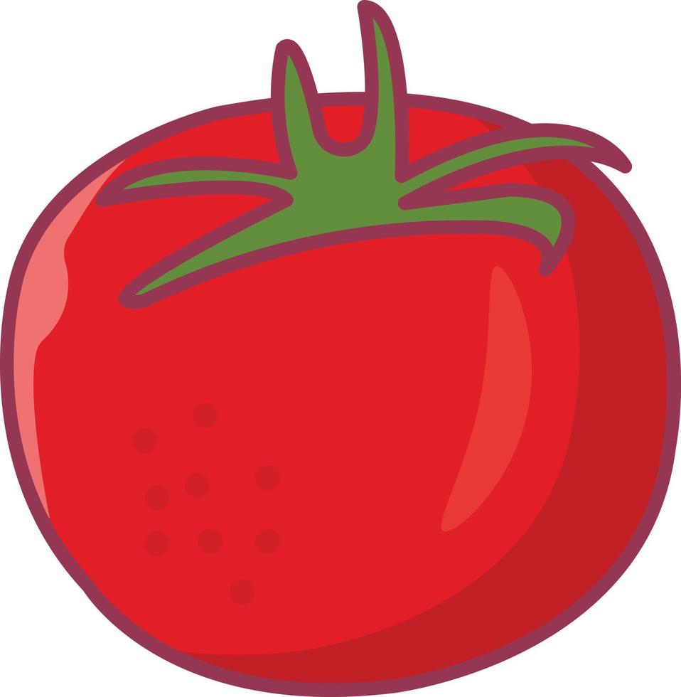 tomato vector illustration on a background.Premium quality symbols.vector icons for concept and graphic design.