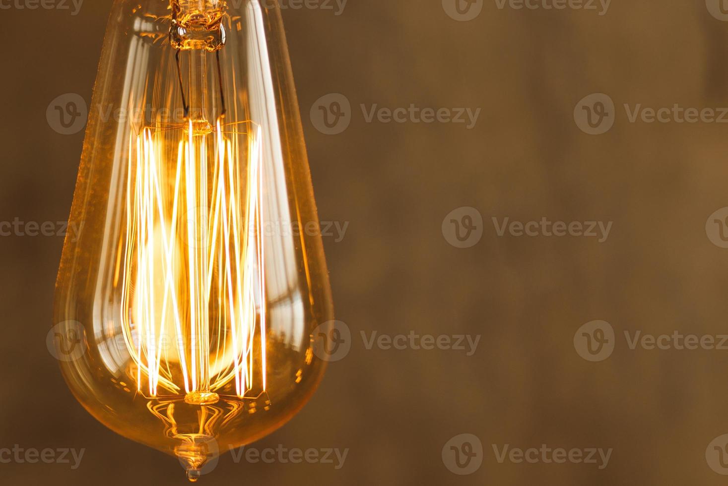 Close up of vintage filament light bulb photo