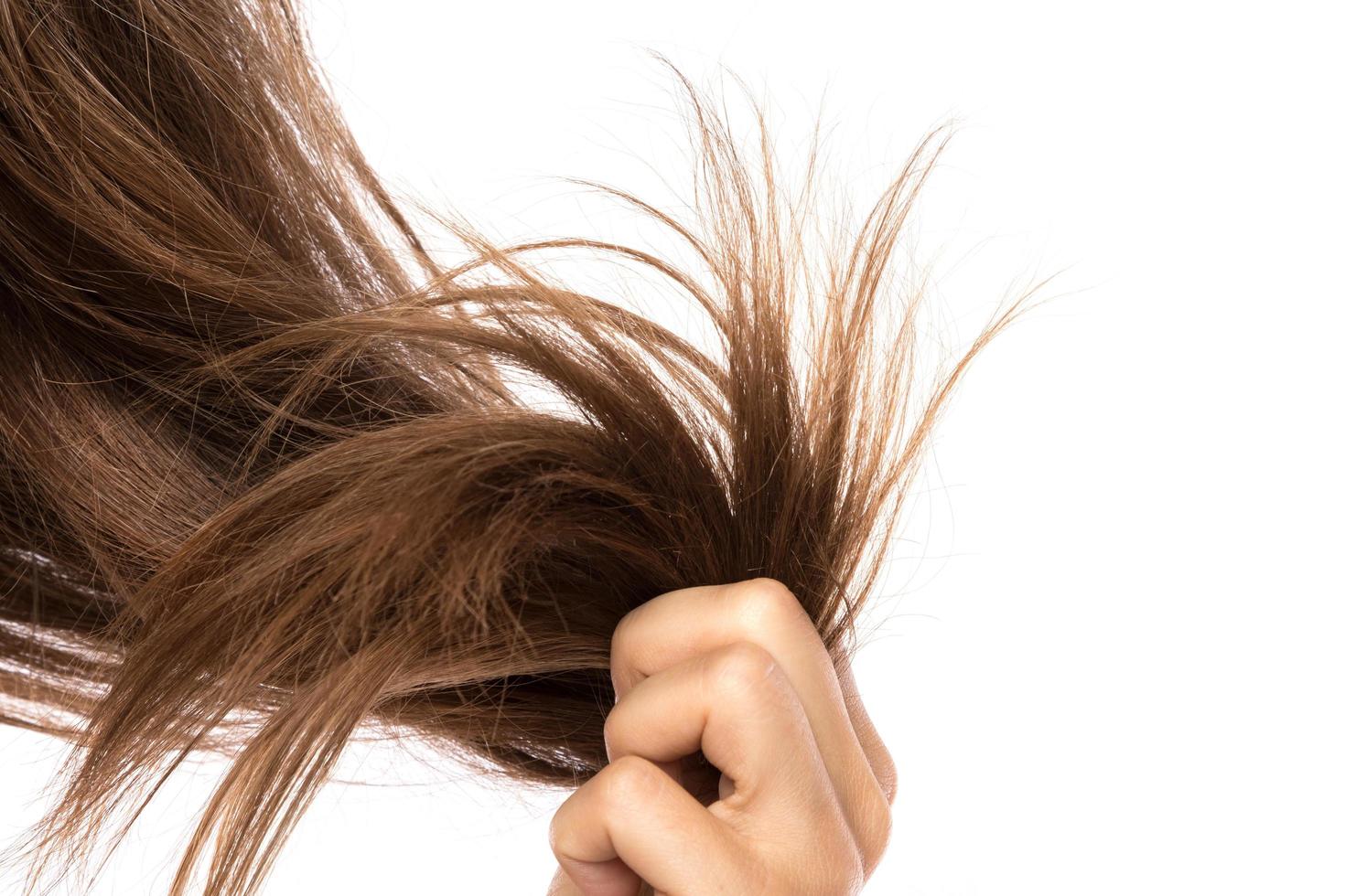 Health codition of female hair on white background photo