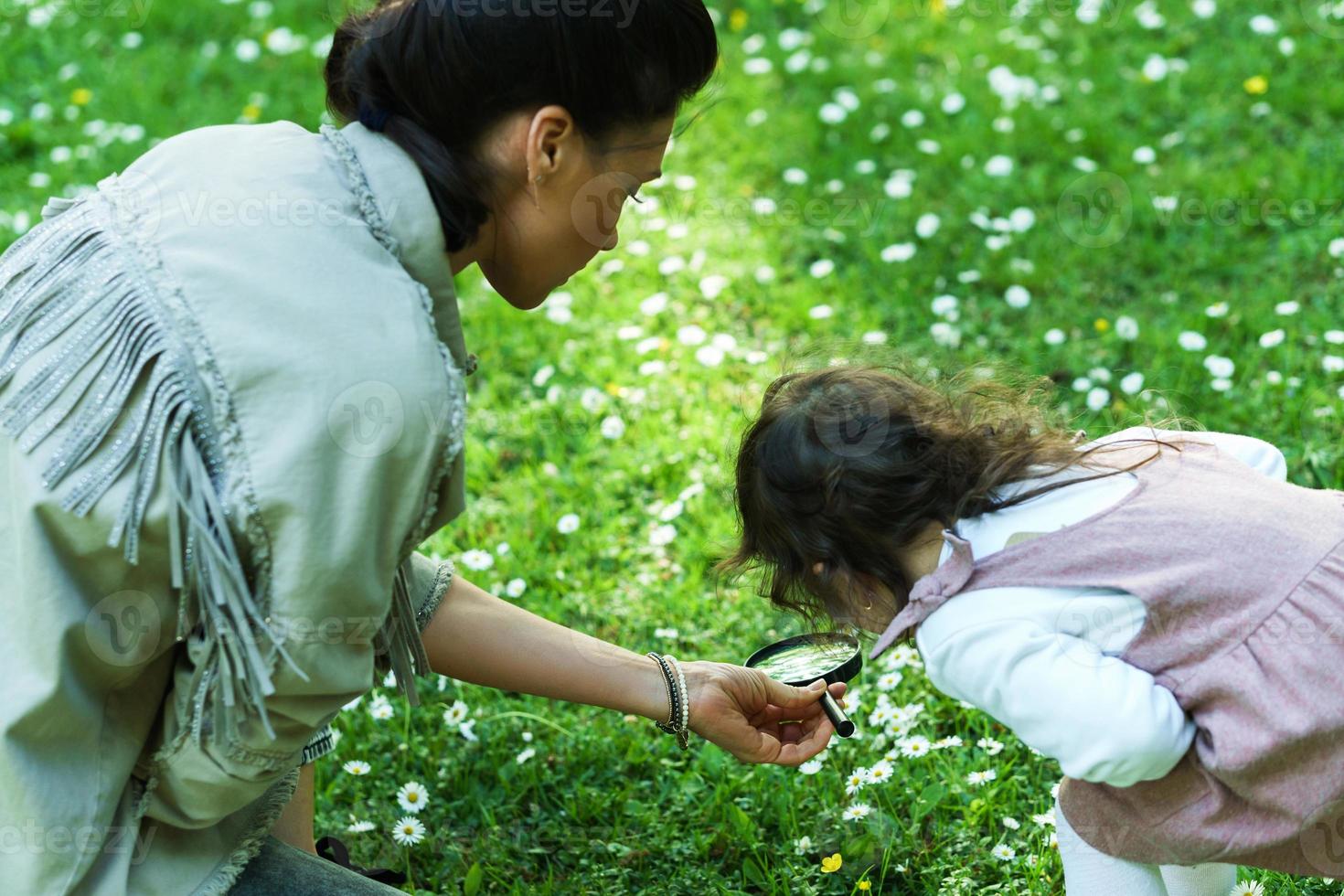 Mother and daughter with a magnifier are exploring a chamomile field photo