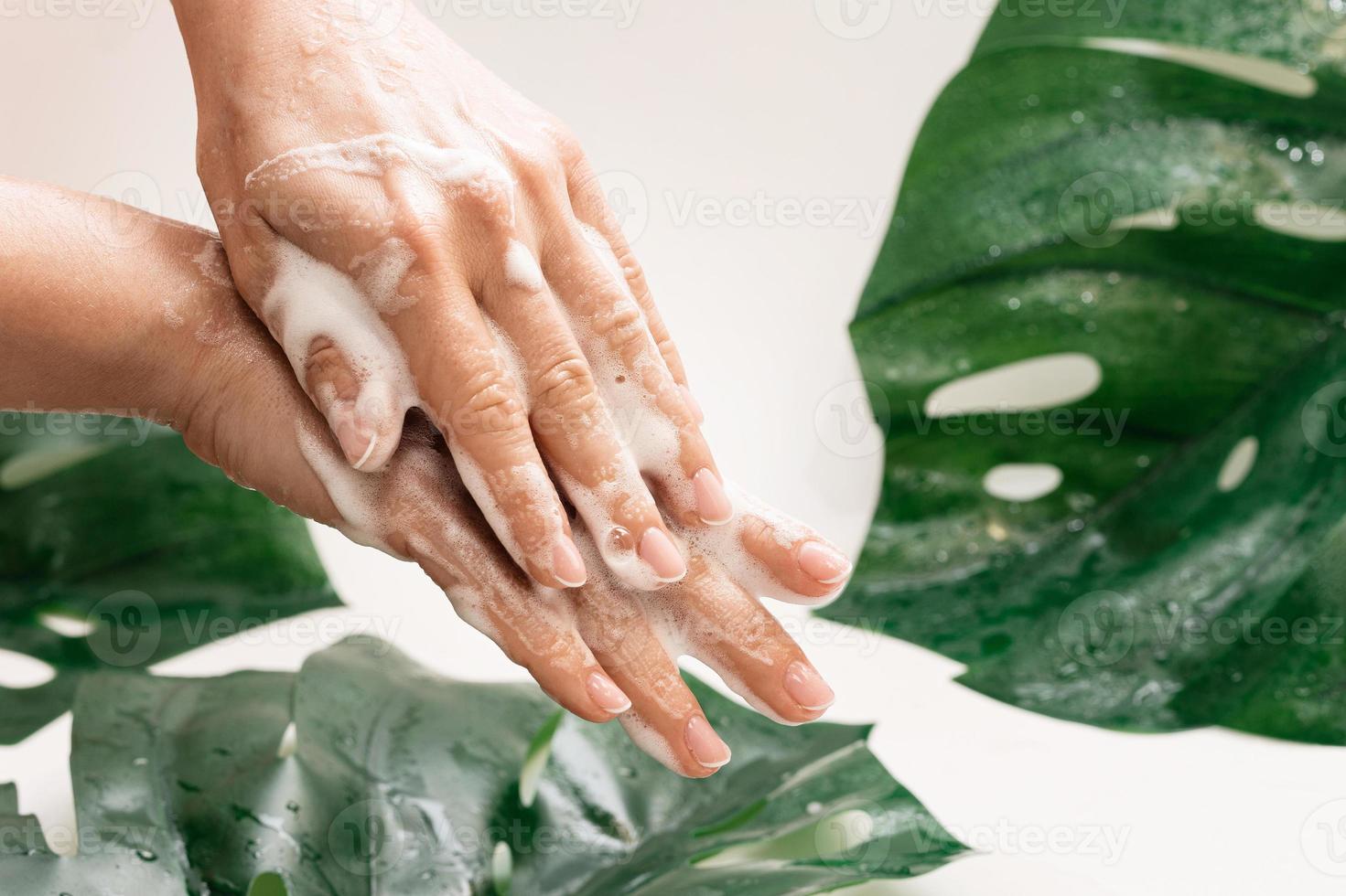 Closeup of female hands with cleansing foam photo