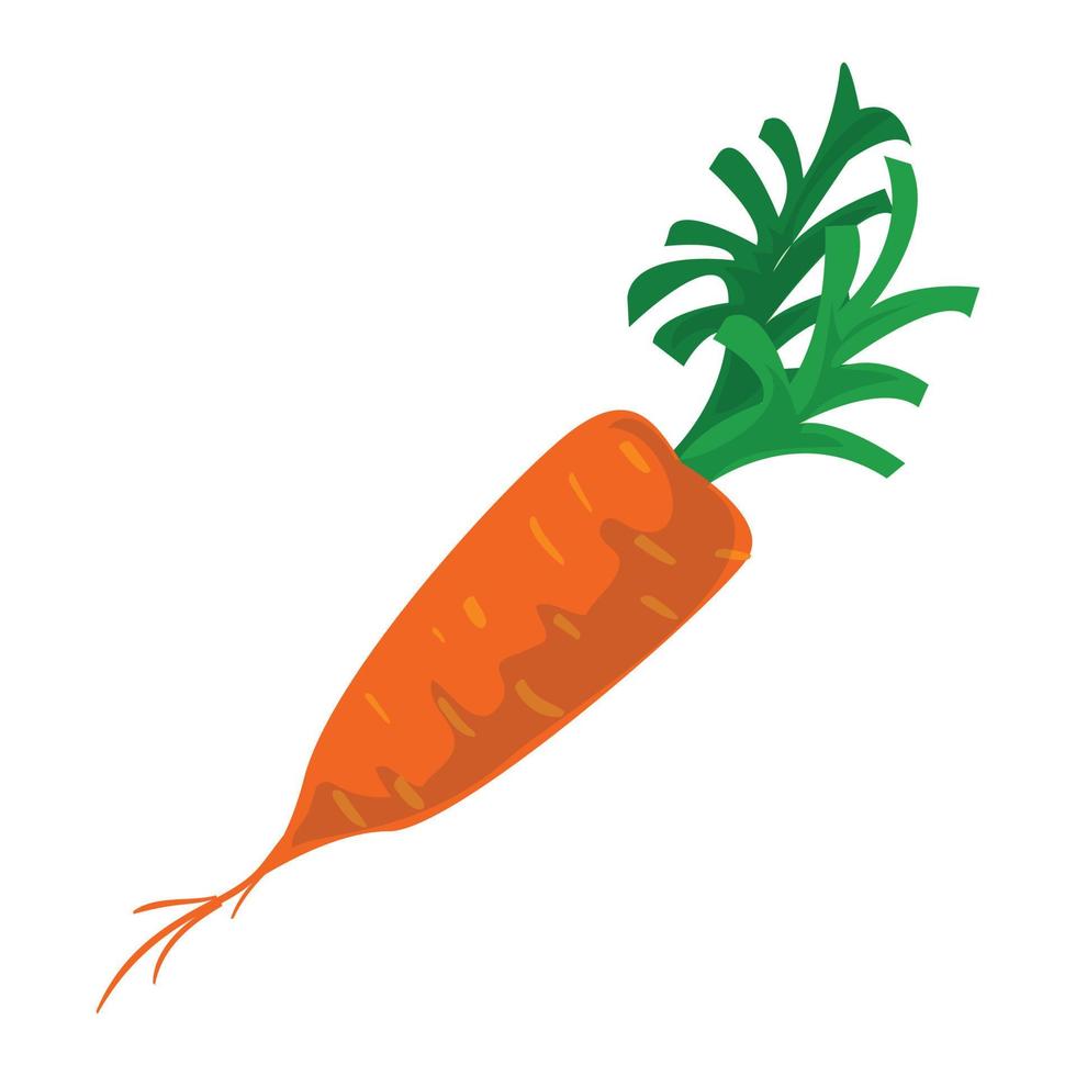 Eco carrot icon, cartoon style vector