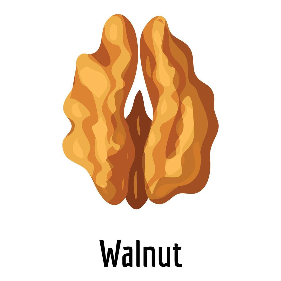 Walnut icon, cartoon style vector