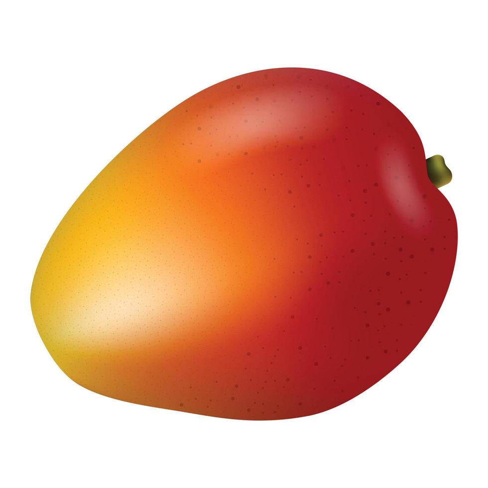 Mango fruit icon, realistic style vector