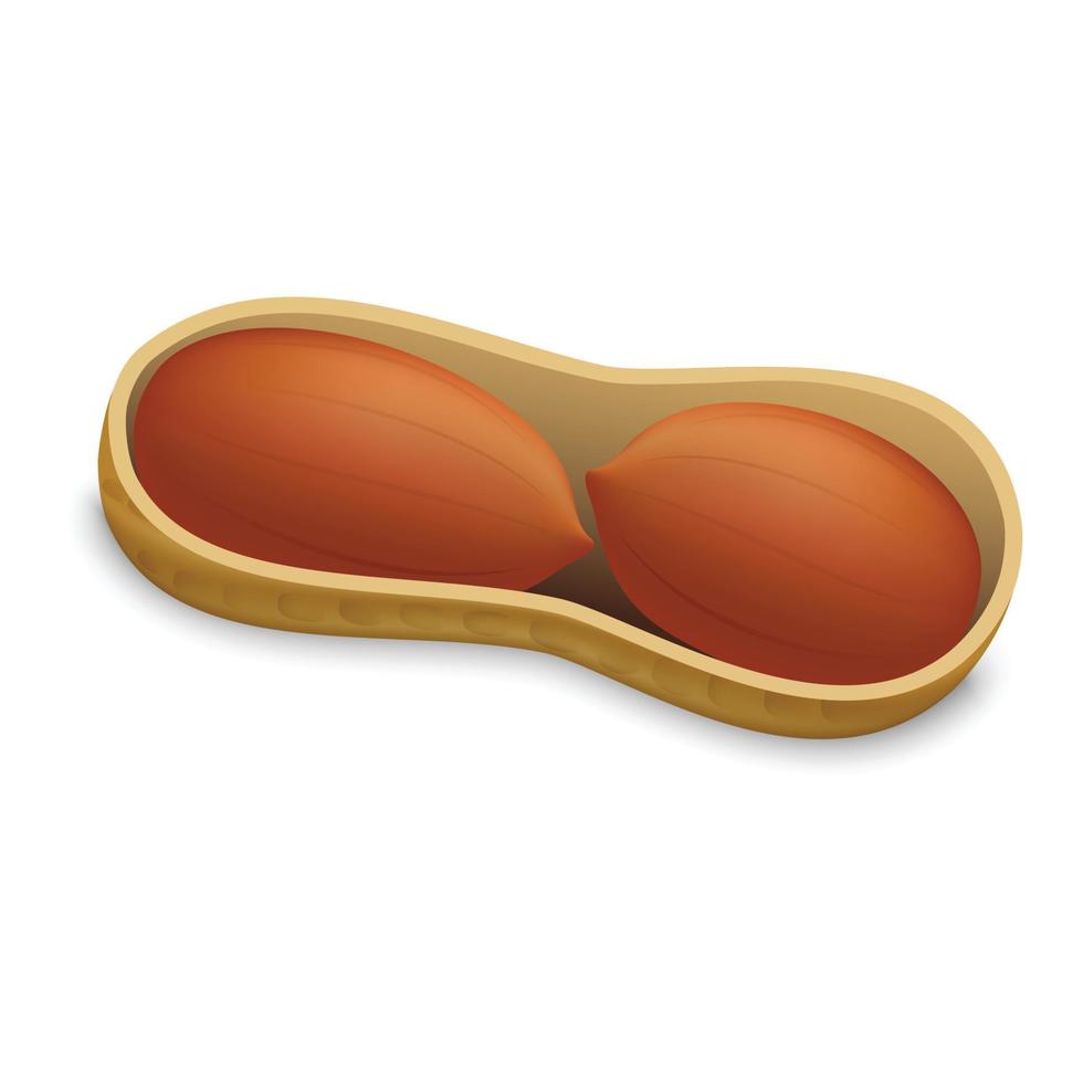 Peanut in shell icon, realistic style vector