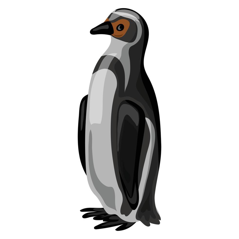 Penguin icon, cartoon style vector