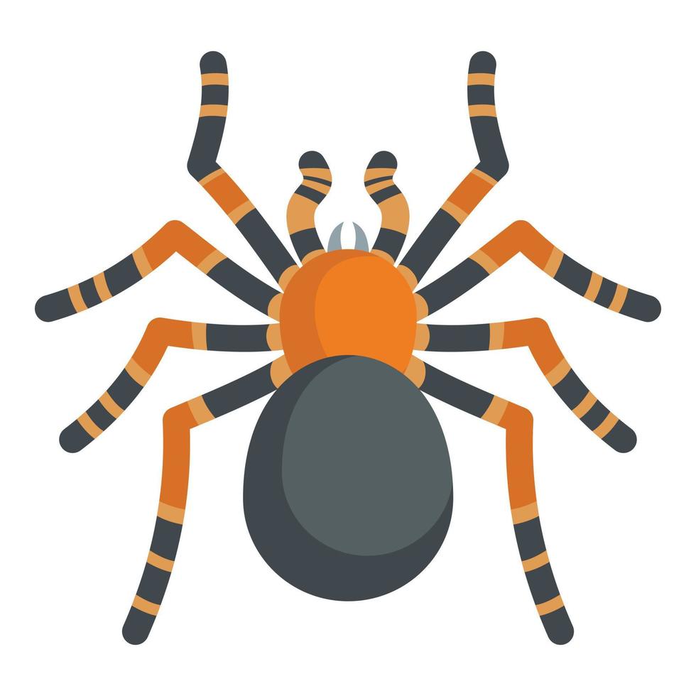 Tarantula icon, cartoon style vector