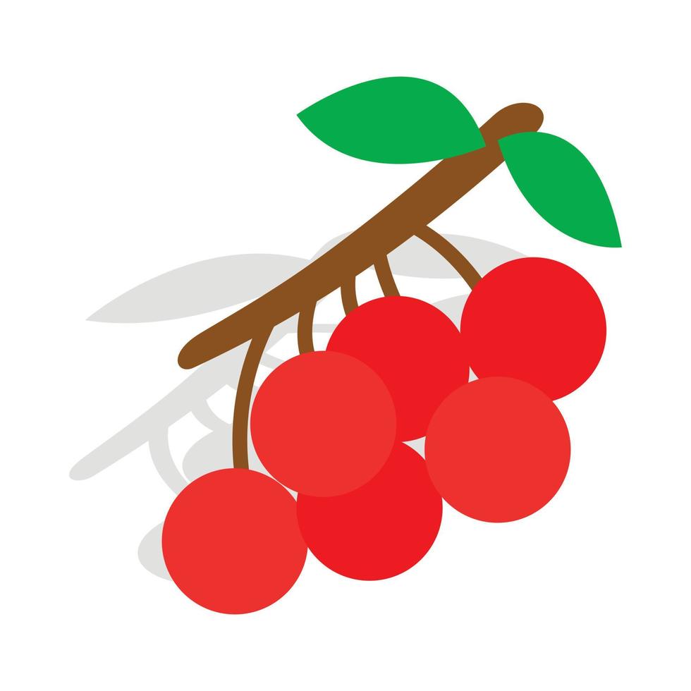 Rowan branch icon, isometric 3d style vector