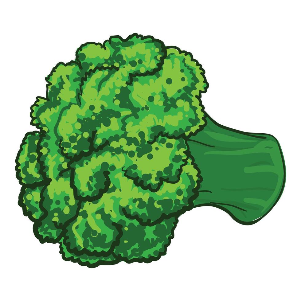 Broccoli icon, cartoon style vector